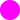 FLUO FUCHSIA